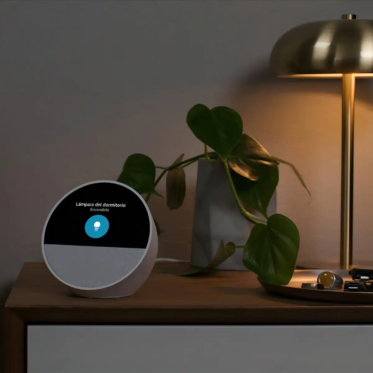 Amazon Echo Spot Bocina Inteligente 2024